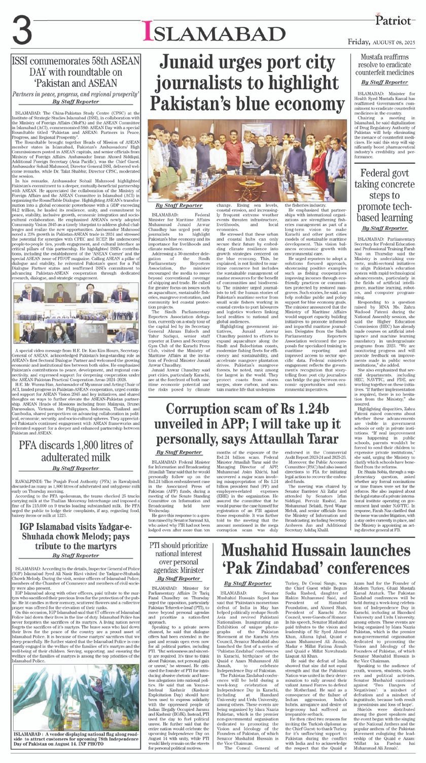 Page 3