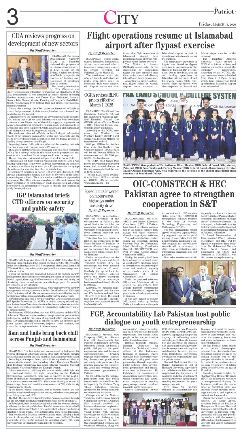Page 3