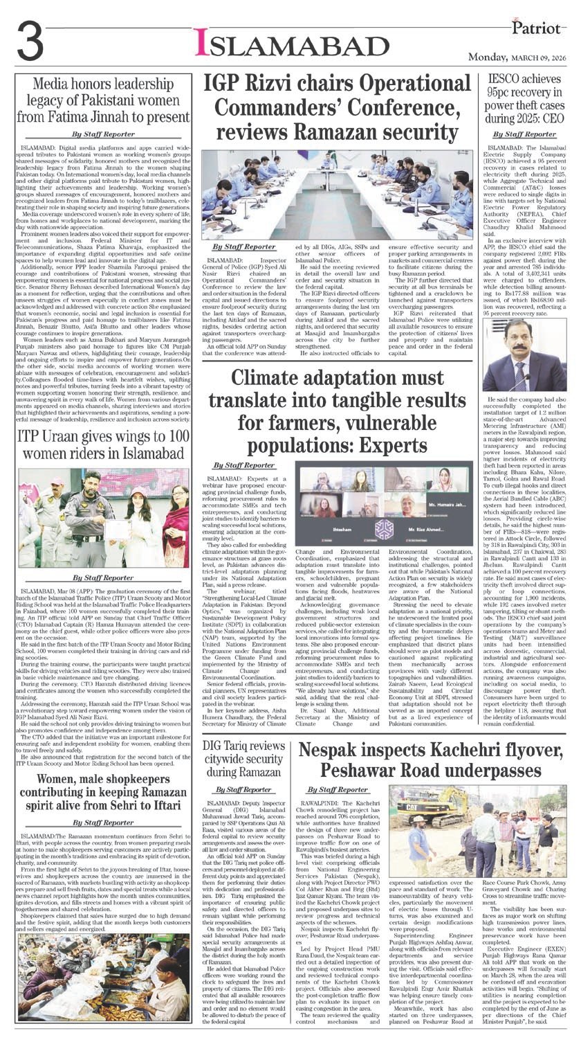 Page 3