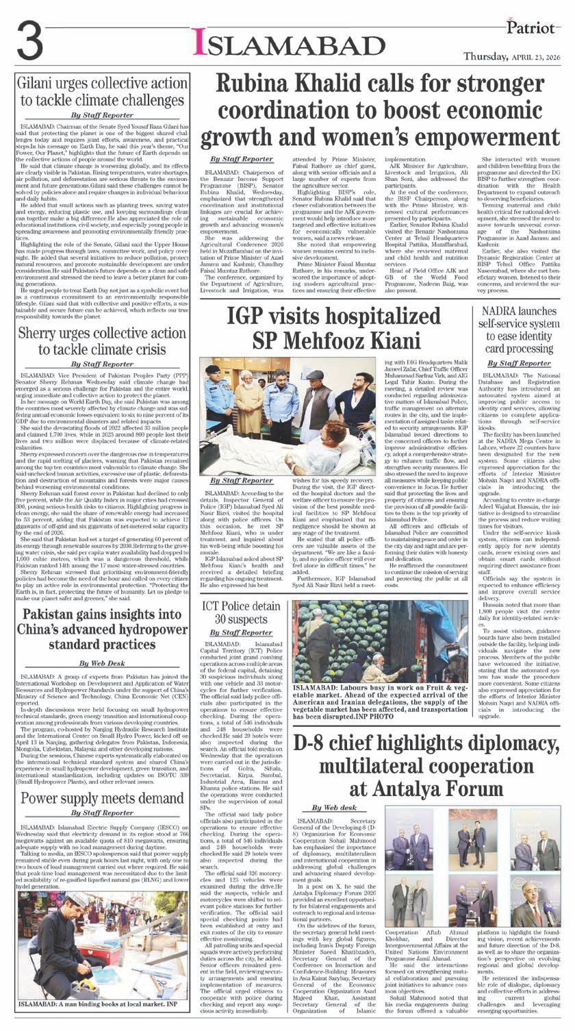 Page 3