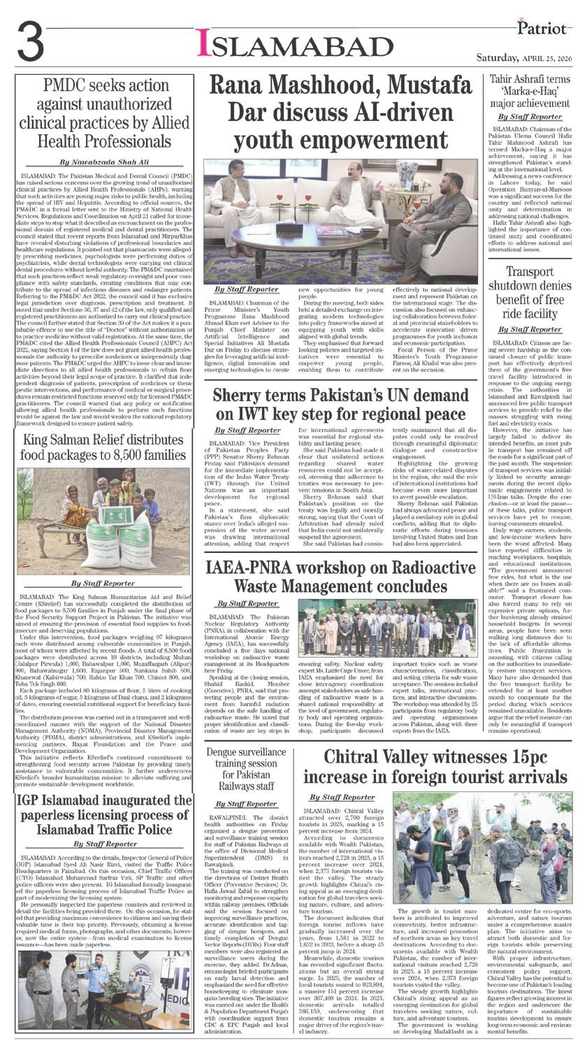 Page 3