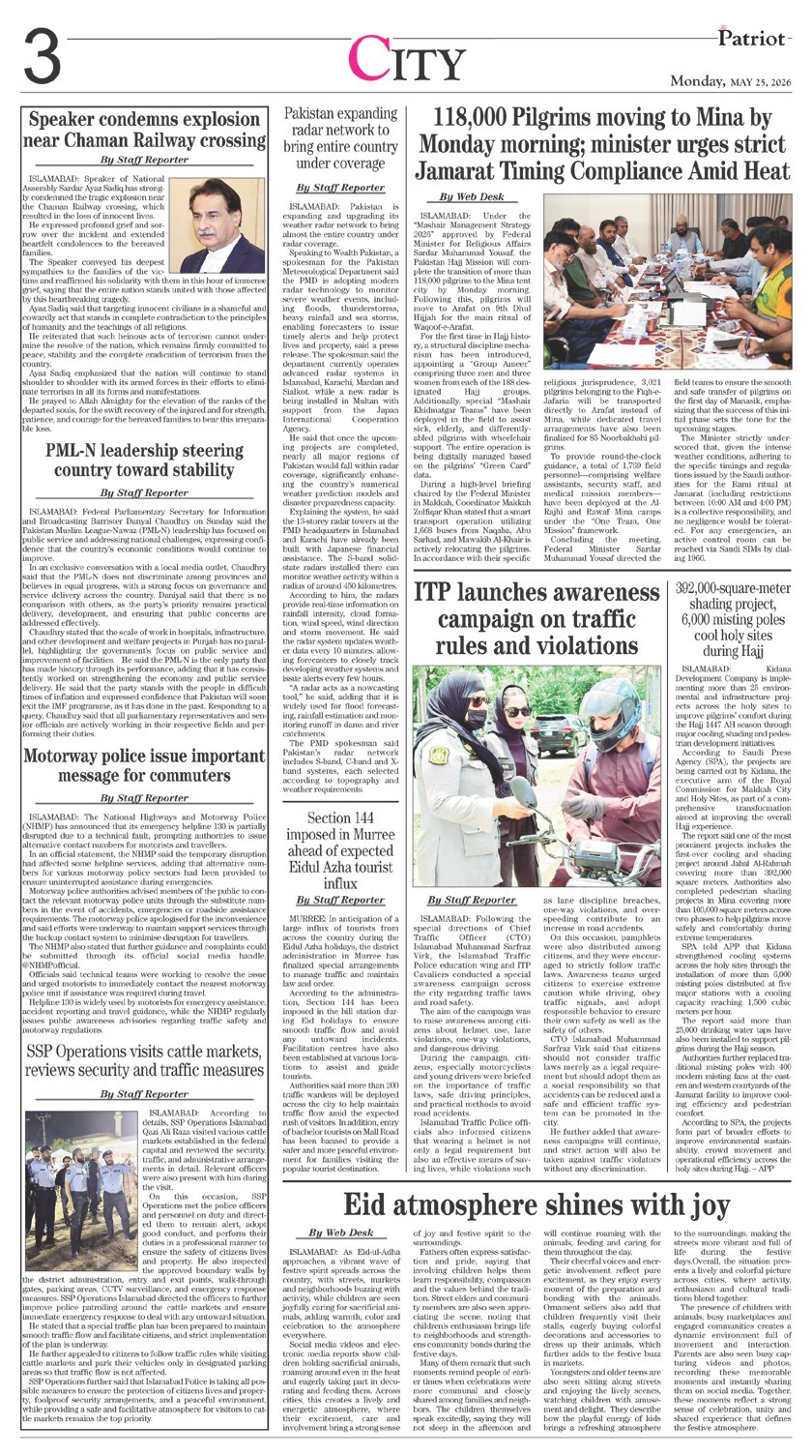 Page 3