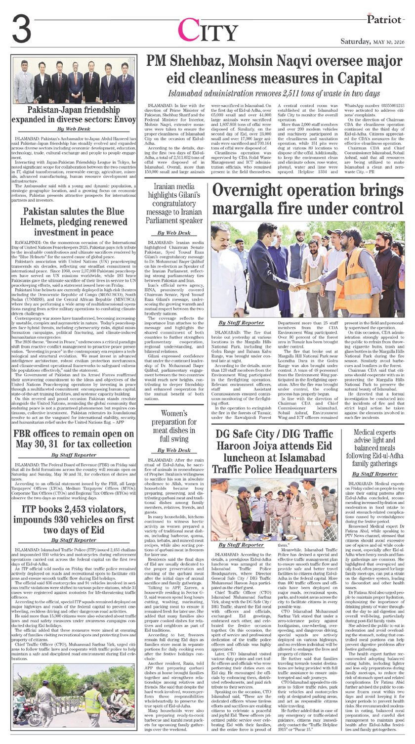 Page 3
