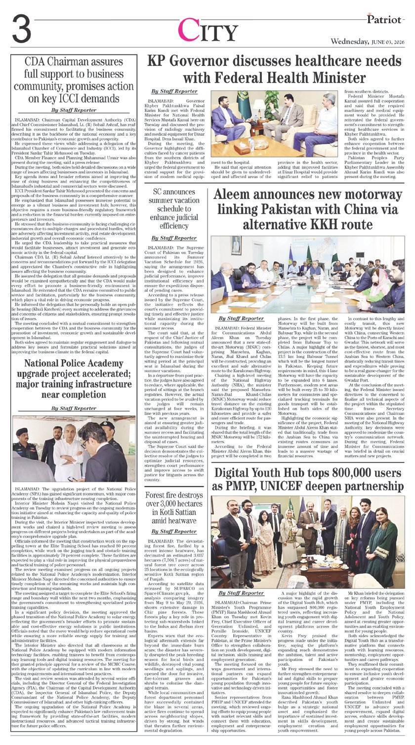 Page 3