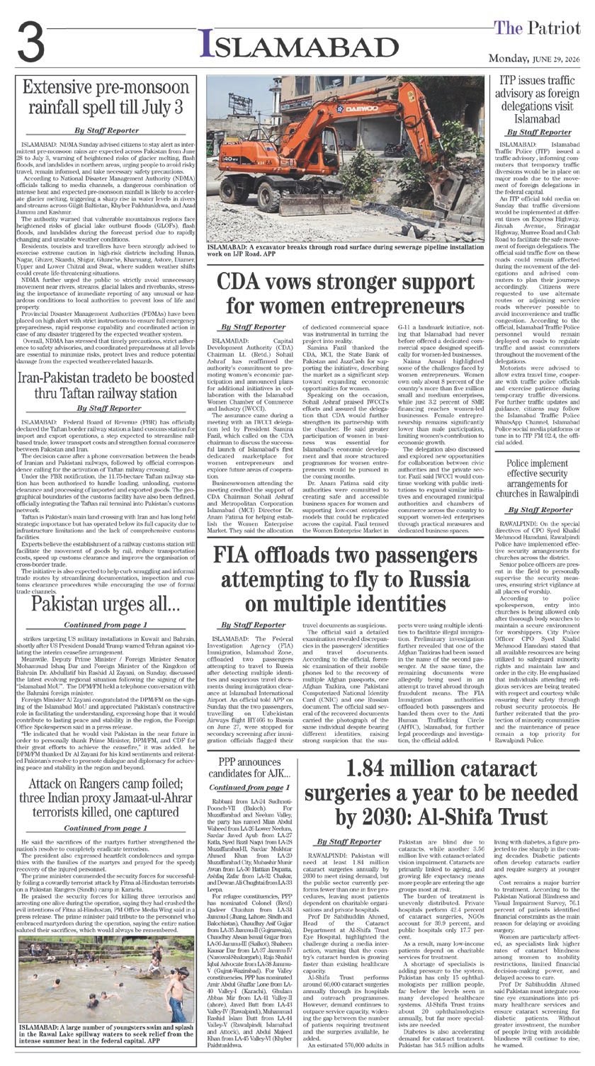 Page 3