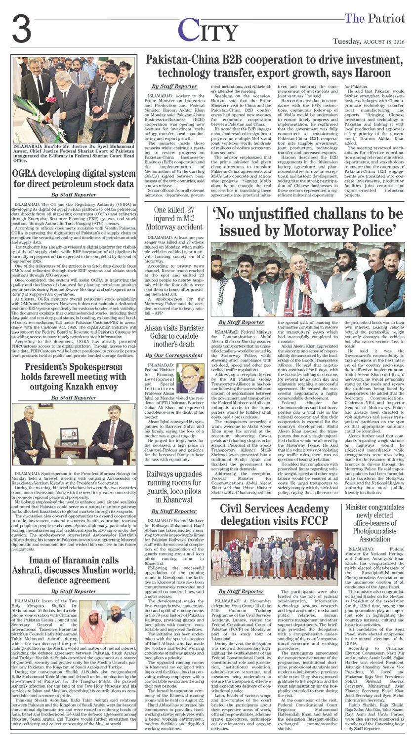 Page 3