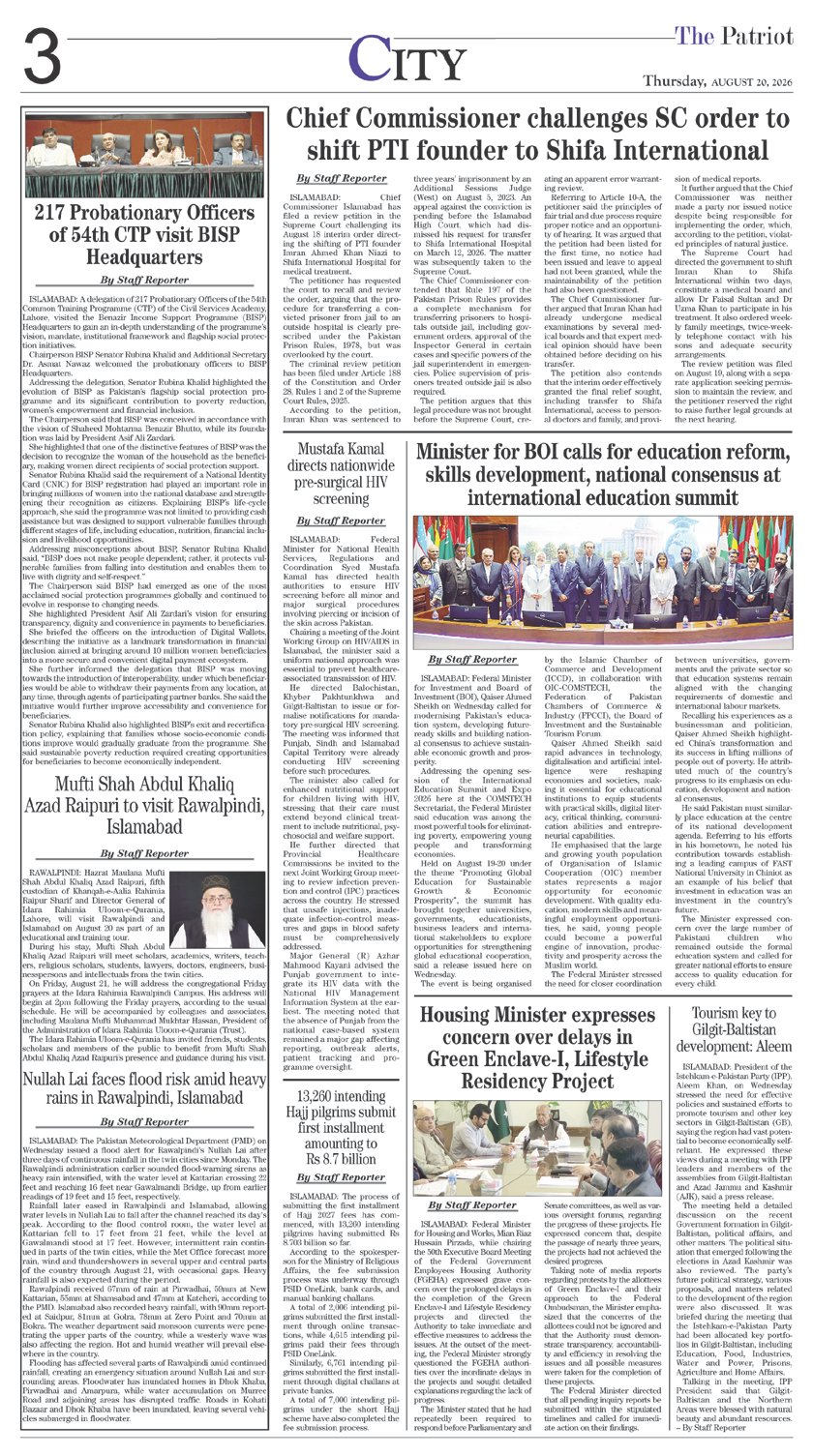Page 3