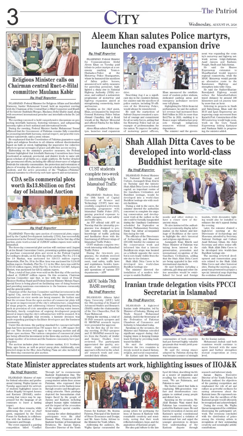 Page 3