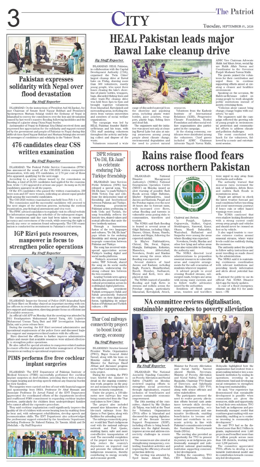Page 3