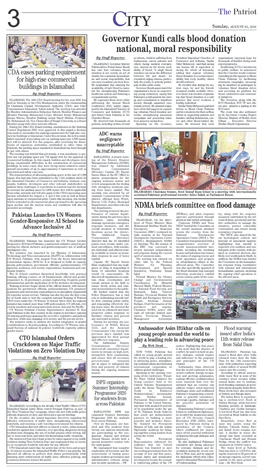Page 3