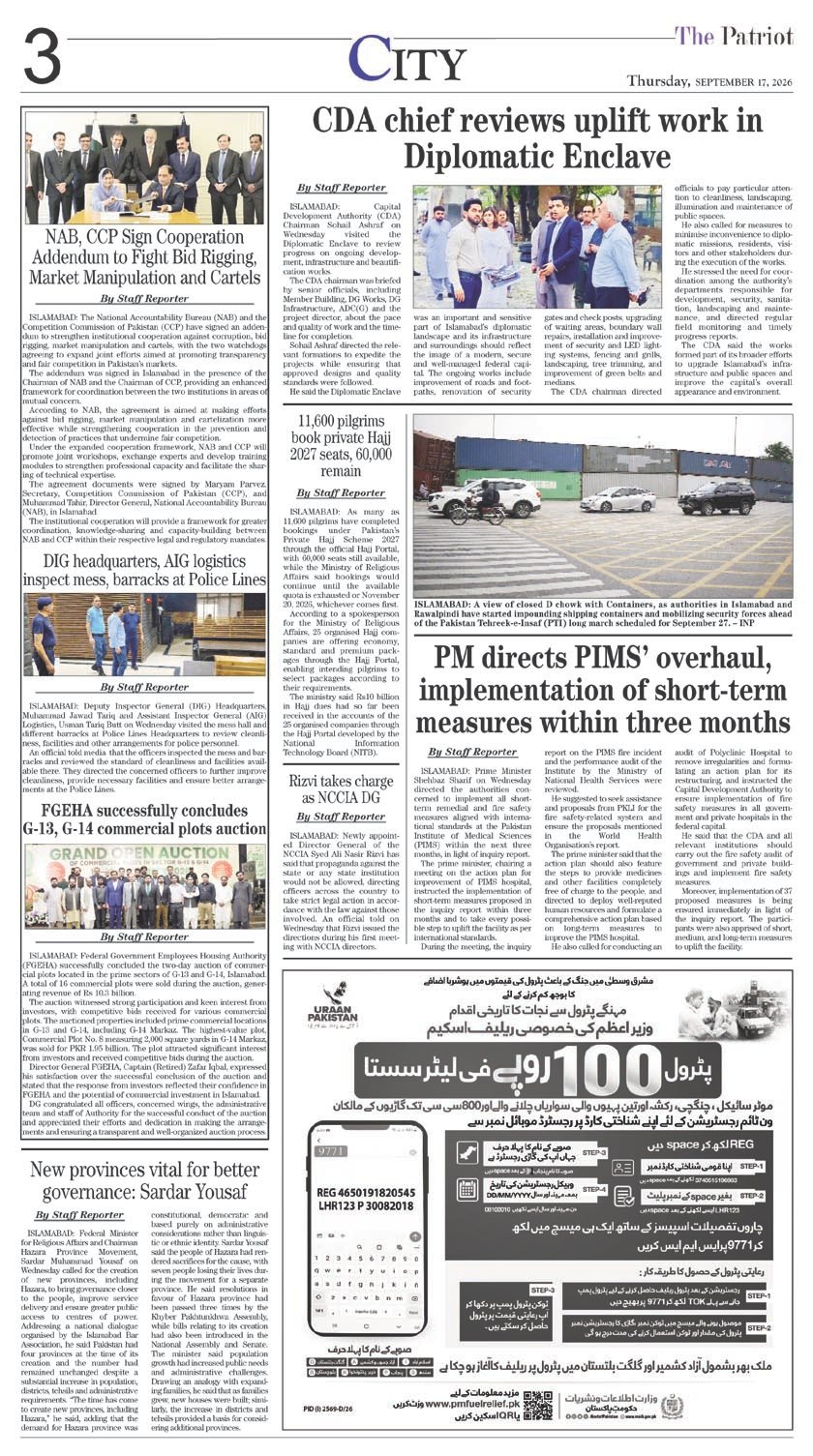 Page 3
