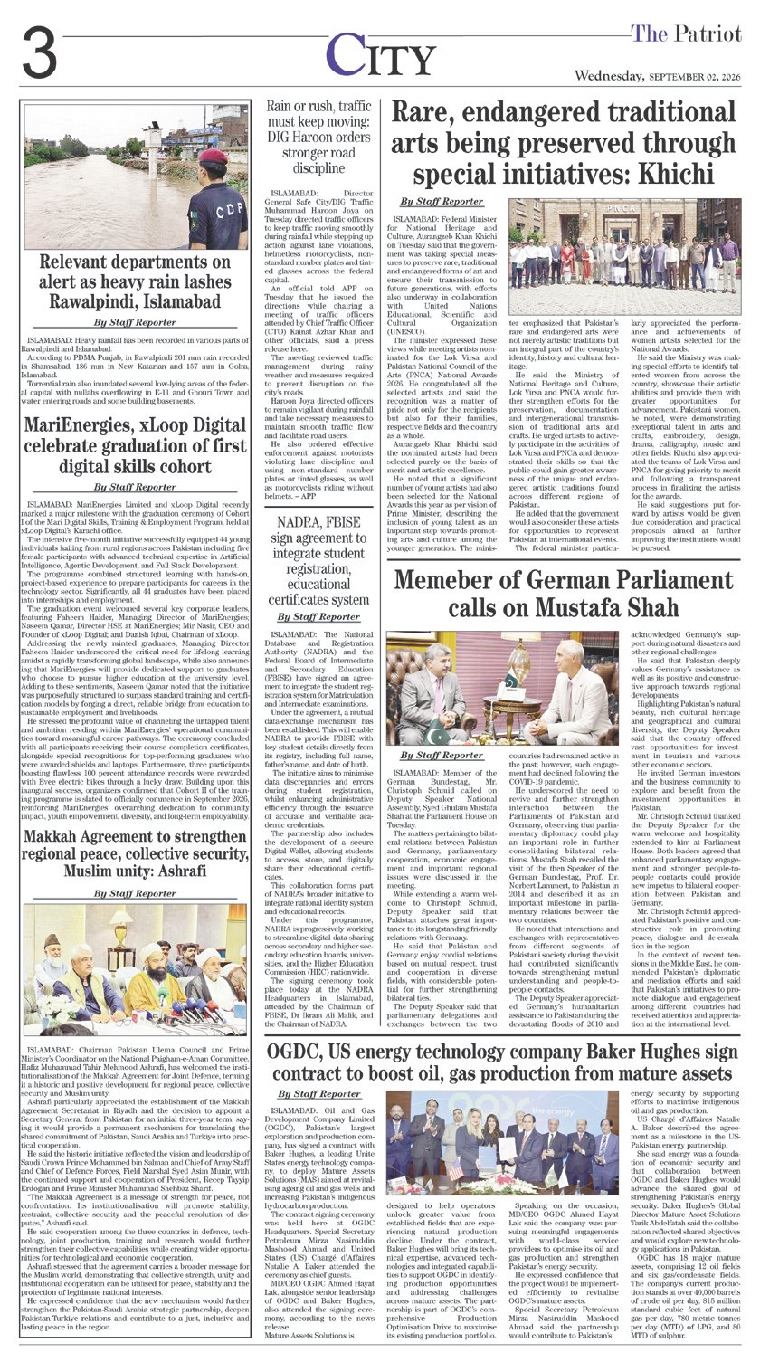 Page 3